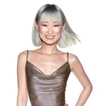 sophisticated hairstyles